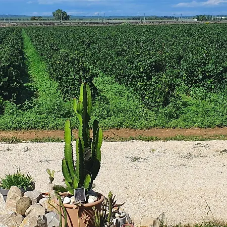 Mas De La Forge Noguier Bed & Breakfast Vergèze