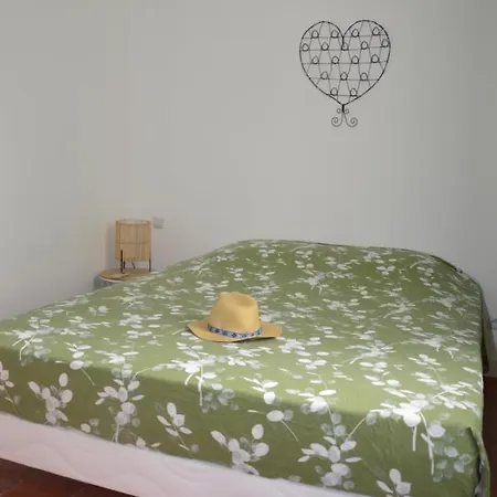 Mas De La Forge Noguier Bed & Breakfast Vergèze